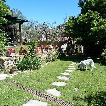 Villa Casa Mezzuola Agriturismo à Greve in Chianti Extérieur photo