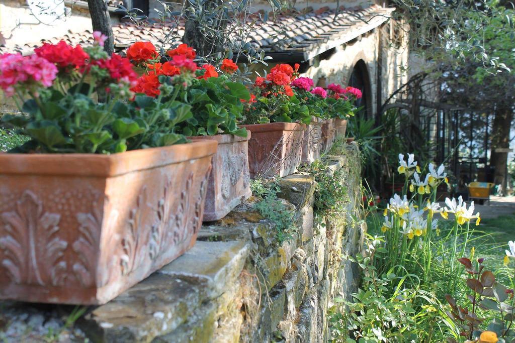 Villa Casa Mezzuola Agriturismo à Greve in Chianti Extérieur photo