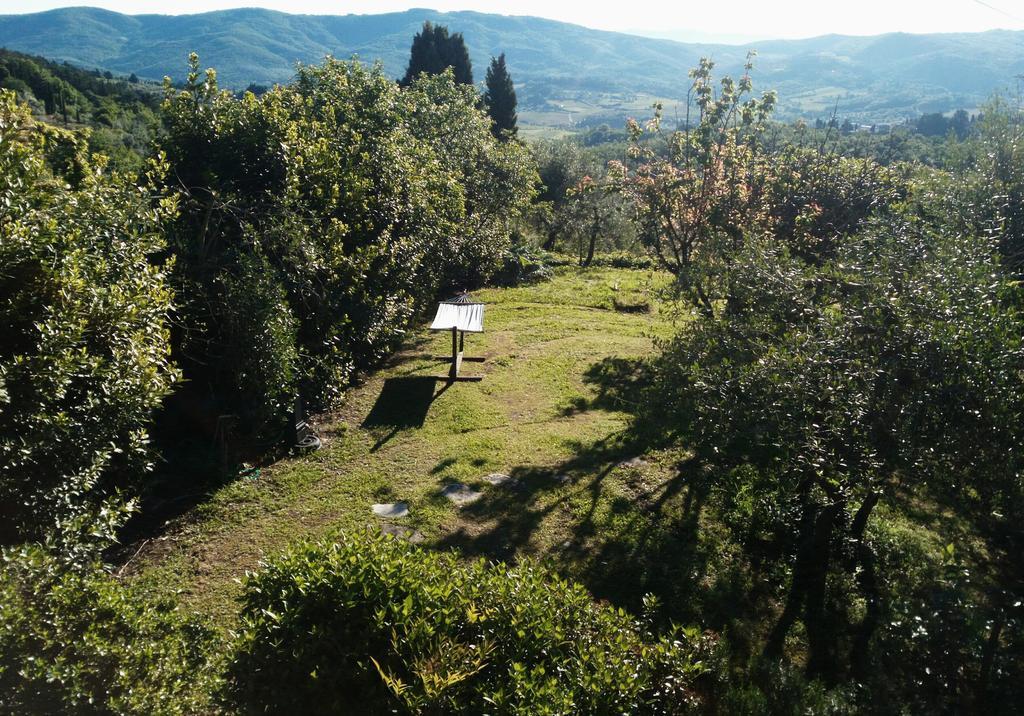 Villa Casa Mezzuola Agriturismo à Greve in Chianti Extérieur photo